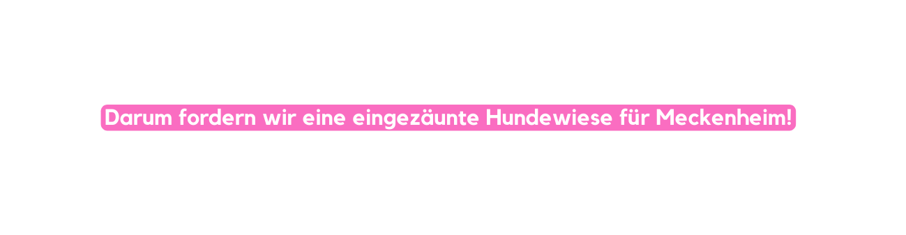 Darum fordern wir eine eingezäunte Hundewiese für Meckenheim