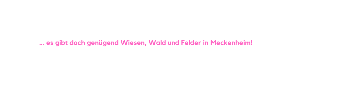 es gibt doch genügend Wiesen Wald und Felder in Meckenheim